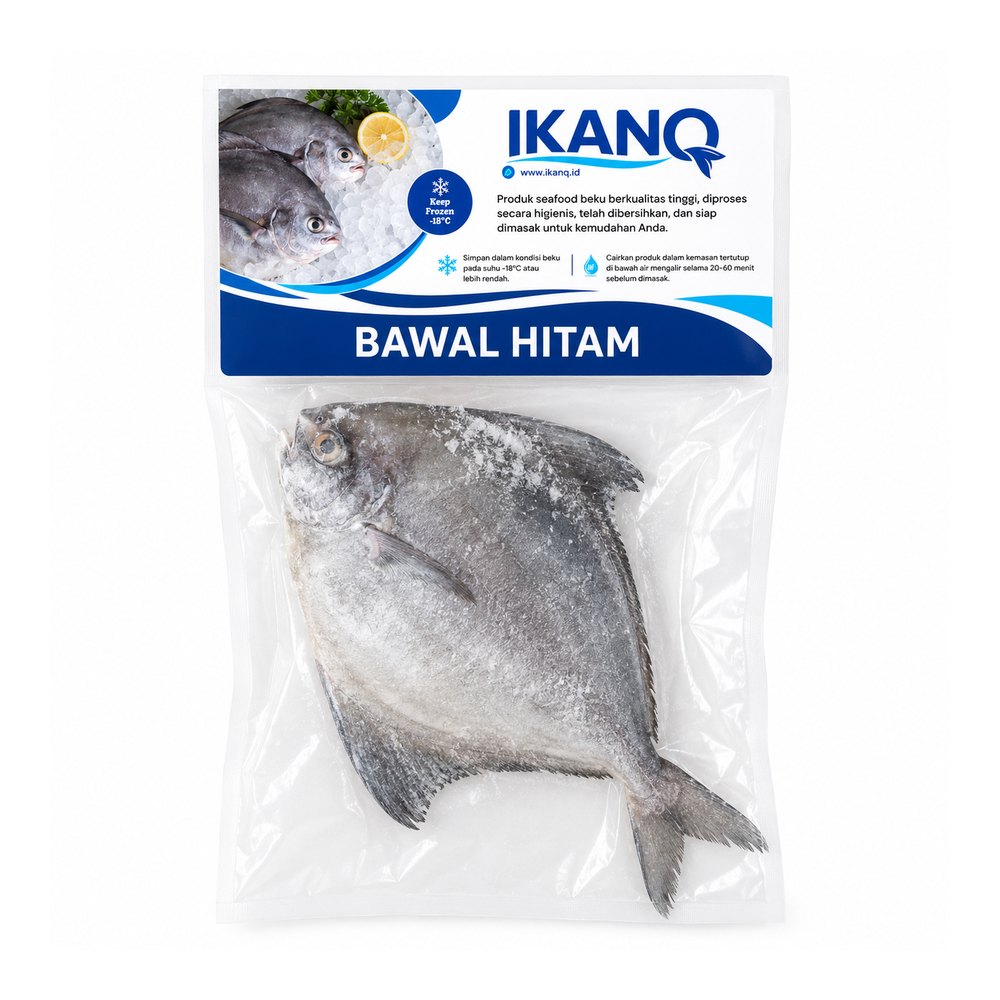 Ikan Bawal Hitam