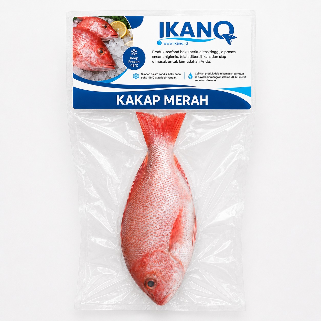 Kakap Merah B