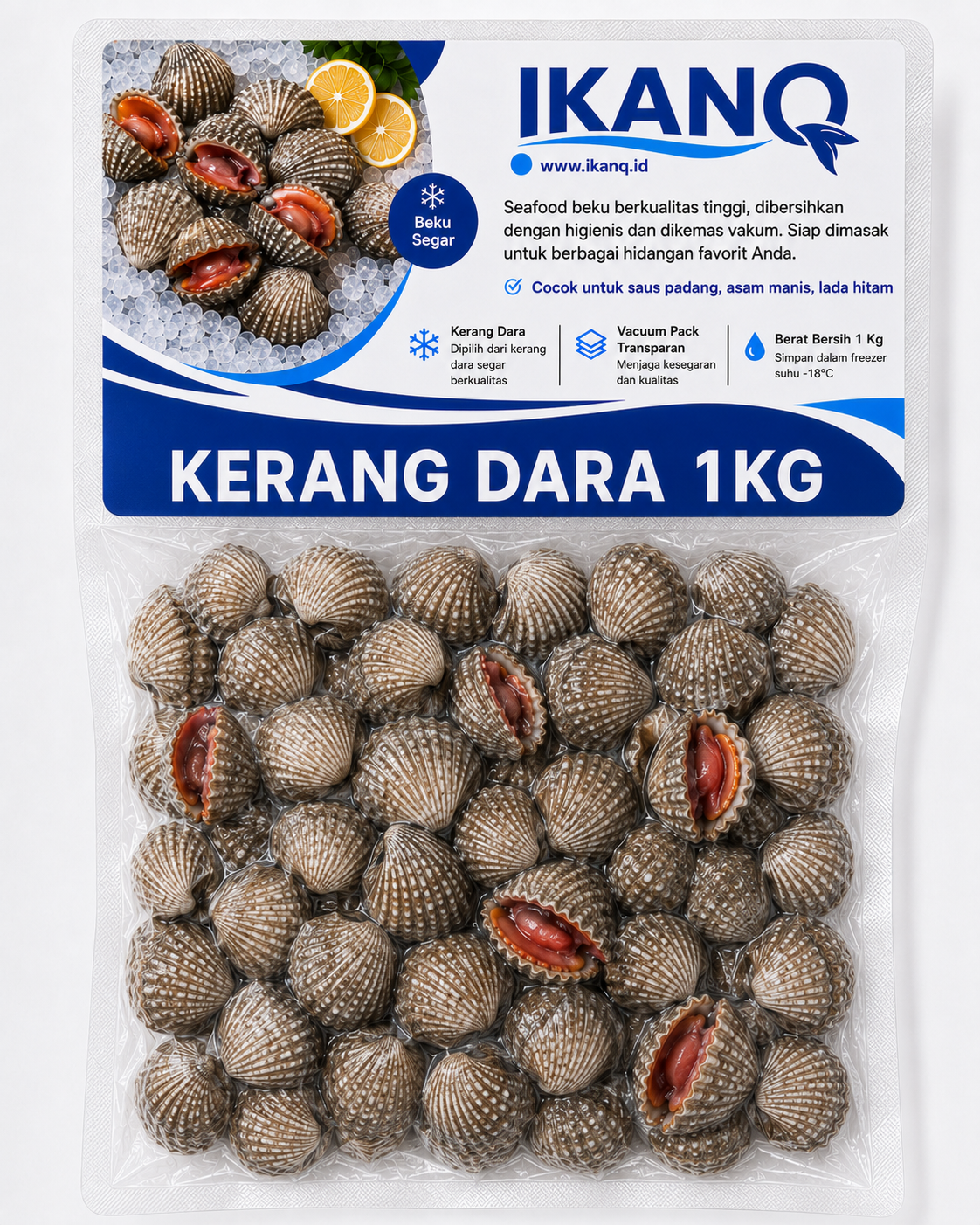 Kerang Dara 1Kg